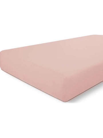 Byrklund Jersey-Spannbettlaken "Bed Basics" in Rosa