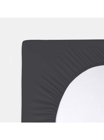 Byrklund Jersey-Split-Topperbezug "Bed Basics" in Anthrazit