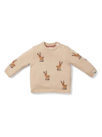 Little Dutch Pullover in Sand