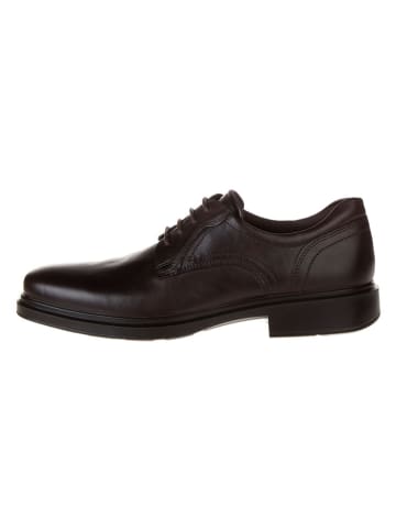 Ecco Schnürschuhe "Helsinki" in Dunkelbraun