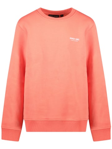 Cars Sweatshirt "Jaxon" in Rosa
