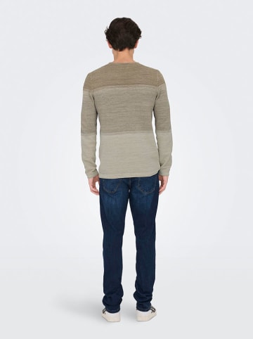 ONLY & SONS Pullover "Panter" in Beige