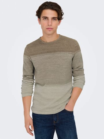 ONLY & SONS Pullover "Panter" in Beige