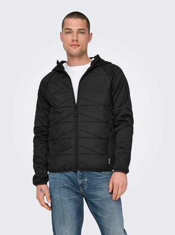 ONLY & SONS Übergangsjacke "Lan" in Schwarz