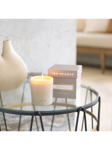 TED SPAKRS Geurkaars "Demi - Tonka & Pepper" - 820 g