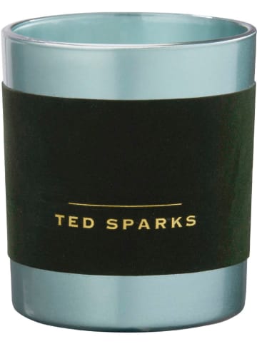 TED SPAKRS Duftkerze "Demi - Moss & Sandalwood" - 820 g