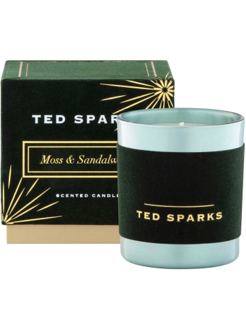 TED SPAKRS Duftkerze "Demi - Moss & Sandalwood" - 820 g