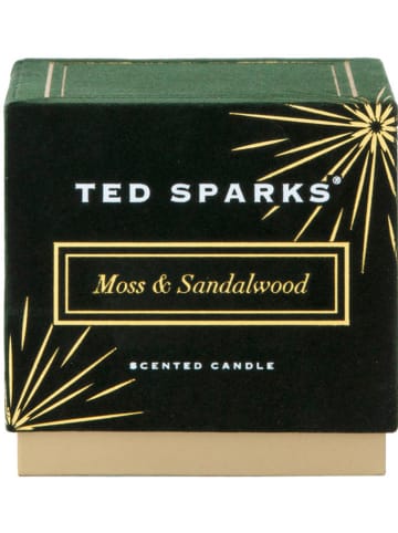 TED SPAKRS Duftkerze "Demi - Moss & Sandalwood" - 820 g