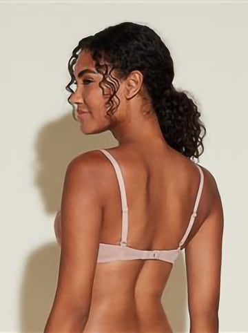 cosabella Push-up-BH in Beige