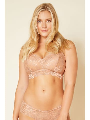 cosabella Bustier in Beige