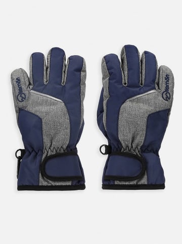Lemon explore Funktions-Handschuhe in Grau/ Dunkelblau