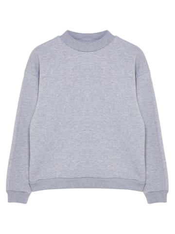 trendyol Sweatshirt grijs