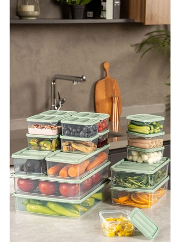 Violeta Home 18-delige set: vershouddozen groen