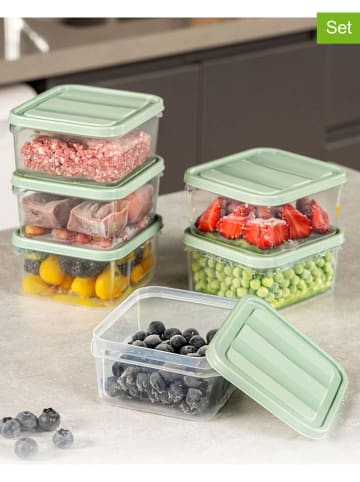 Violeta Home 6er-Set: Frischhaltedosen in Grün - 350 ml