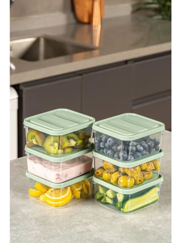 Violeta Home 6-delige set: vershouddozen groen - 350 ml