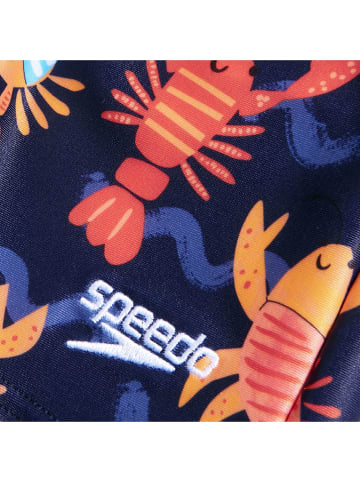 Speedo Kąpielówki ze wzorem