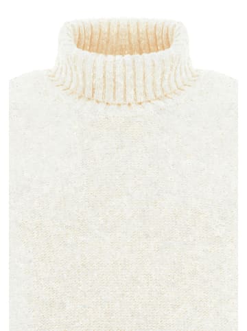 FYNCH-HATTON Rollkragenpullover in Creme