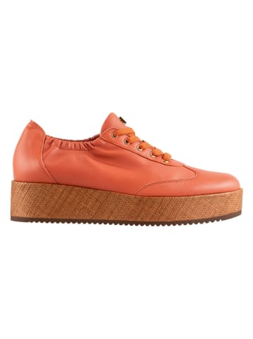 Högl Leder-Sneakers "Jodie" in Orange