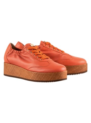 Högl Leder-Sneakers "Jodie" in Orange