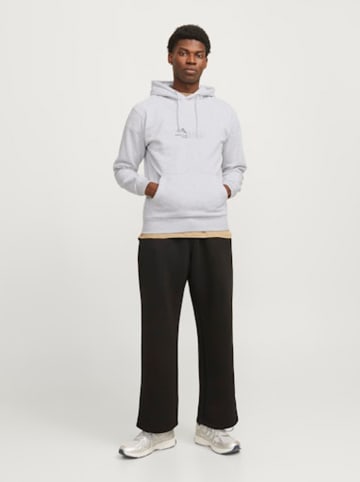 Jack & Jones Hoodie lichtgrijs