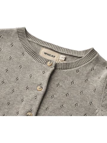 Wheat Cardigan "Maia" in Grau