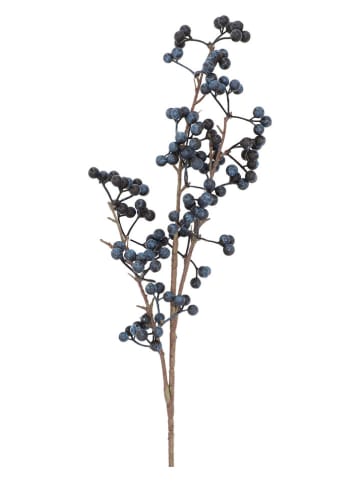 Homla Dekozweig ''Spino'' in Blau - (L)77 cm