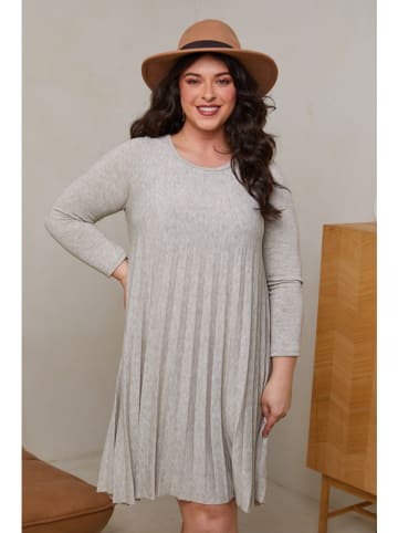 Curvy Lady Kleid in Grau