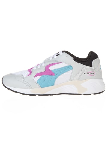 Puma Sneakers "Prevail" in Beige/ Lila/ Hellblau