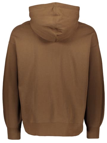 Air Jordan Hoodie ''Flight'' in Braun
