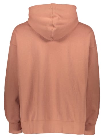 Air Jordan Sweatjacke ''Flight'' in Hellbraun