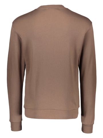 adidas Bluza w kolorze jasnobrązowym