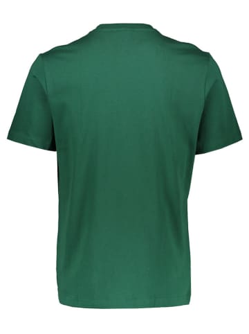 adidas Shirt "ADV MTN" in Grün/ Blau