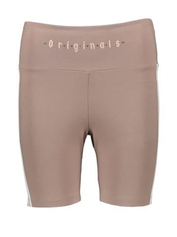 adidas Fahrradshorts in Hellbraun