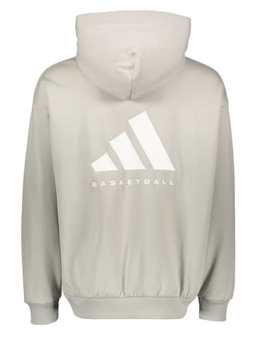adidas Hoodie in Grau