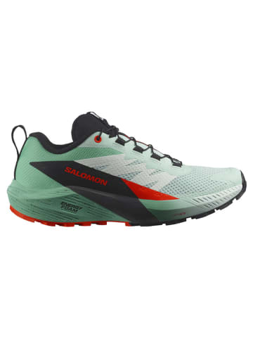 SALOMON Trailrunningschoenen "Salomon X BRAZE MID GORE-TEX" zwart/groen