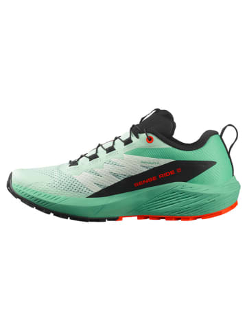 SALOMON Trailrunningschoenen "Salomon X BRAZE MID GORE-TEX" zwart/groen