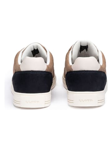 LLOYD Leder-Sneakers in Hellbraun