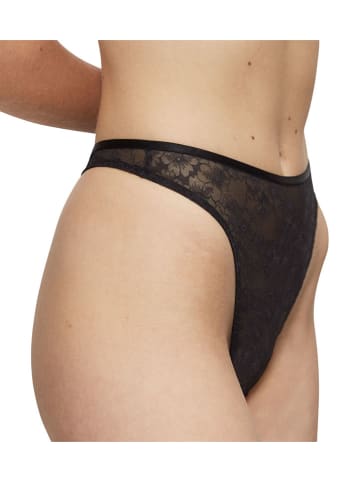 Triumph String "Bright Spotlight" in Schwarz