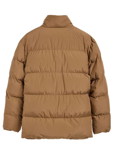 Polo Club Winterjacke in Camel