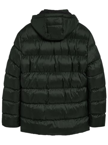 Polo Club Steppjacke in Grün