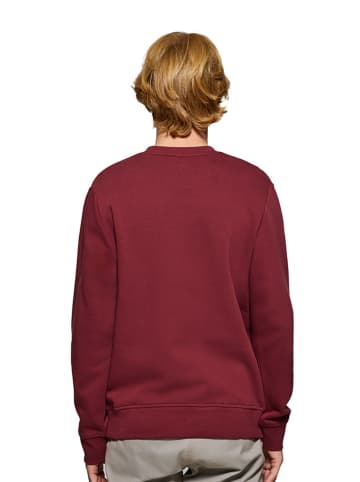 Polo Club Sweatshirt rood