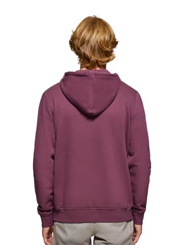 Polo Club Hoodie paars