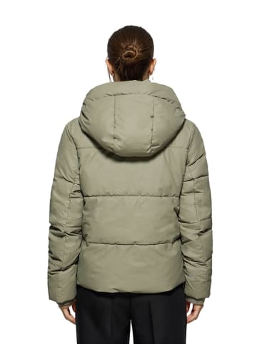 Polo Club Steppjacke in Salbei