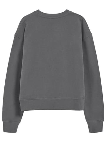 Polo Club Sweatshirt grijs