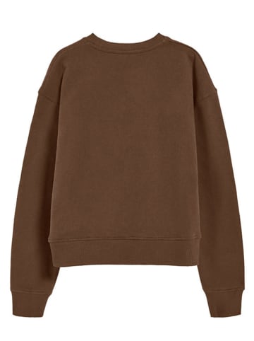Polo Club Sweatshirt in Braun