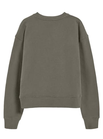 Polo Club Sweatshirt kaki