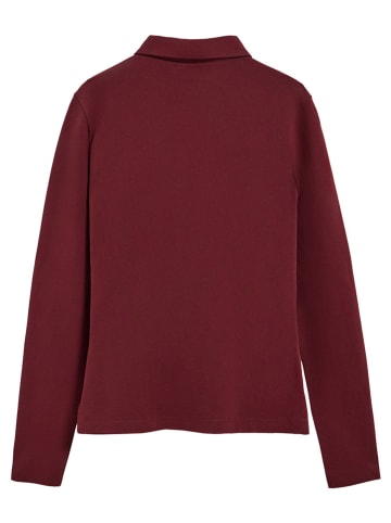 Polo Club Poloshirt in Bordeaux