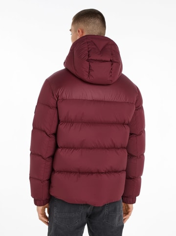 Tommy Hilfiger Donsjas bordeaux