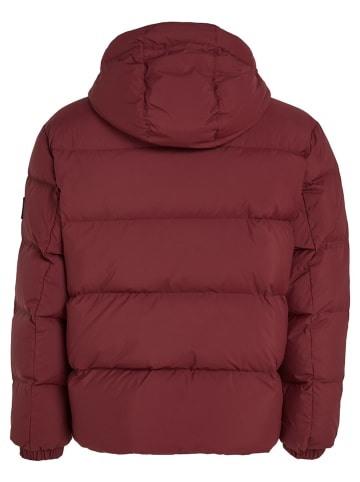 TOMMY JEANS Winterjacke in Rot