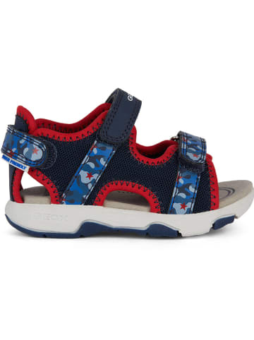 Geox Sandalen "Multy" in Dunkelblau